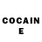 COCAIN Fish Scale erfy fgth