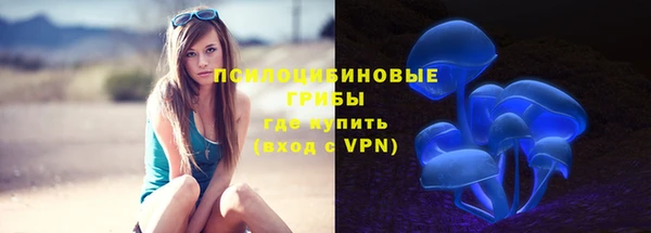 бошки Богородск